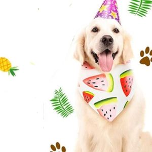 PAWCHIE Cute Dog Bandana - Watermelon Pattern Cooling Summer Style